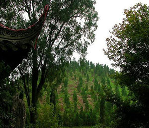 Tomb of Wangjian