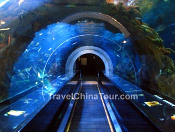 Guilin ocean aquarium