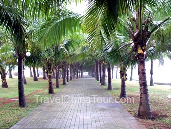 haikou travel and tour