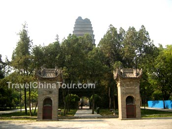 small wild goose pagoda