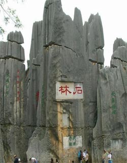 shilin stone forest