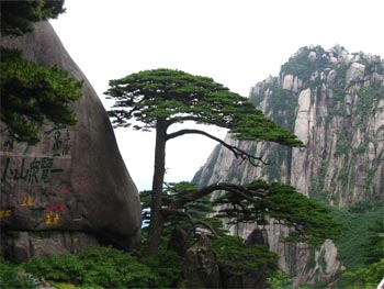 huangshan mountain